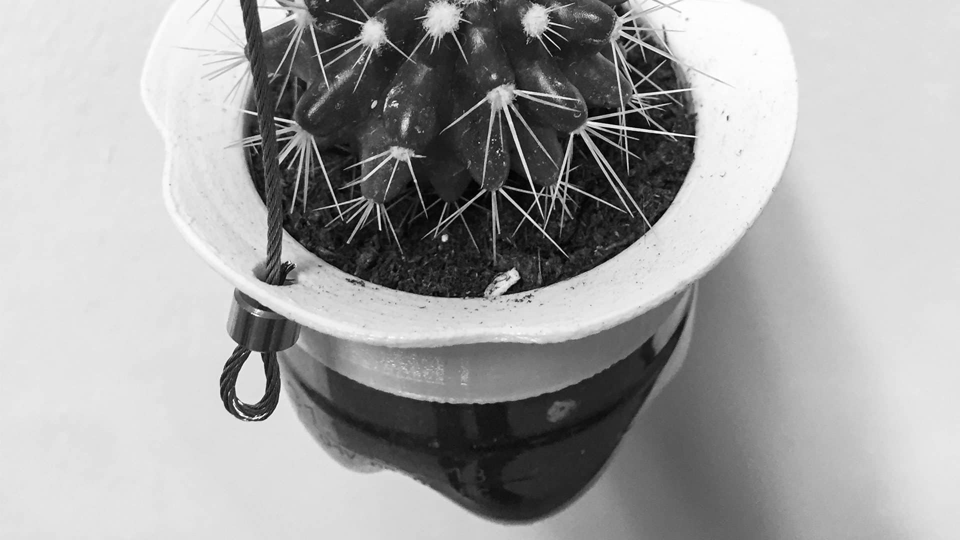 BLUMENTOPF