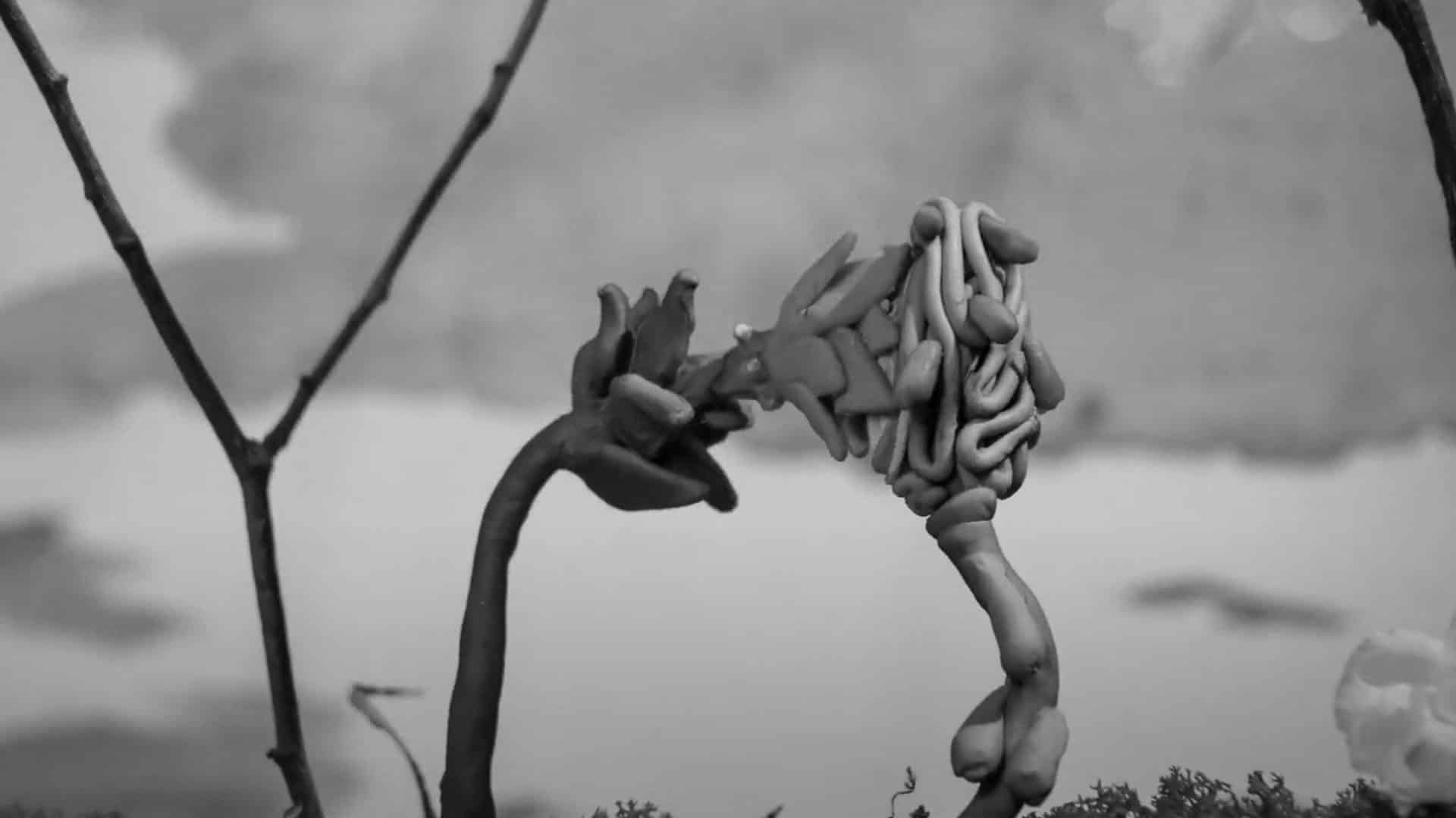 SAMEN